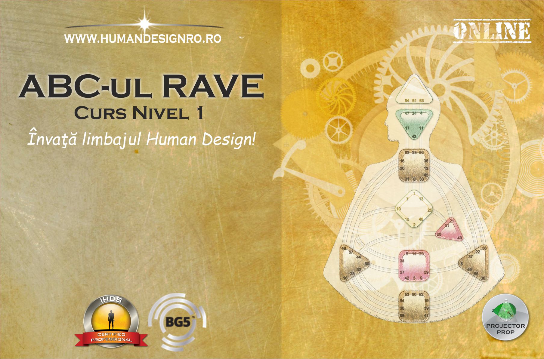 Curs Human Design ABC-ul RAVE